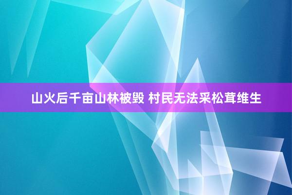 山火后千亩山林被毁 村民无法采松茸维生