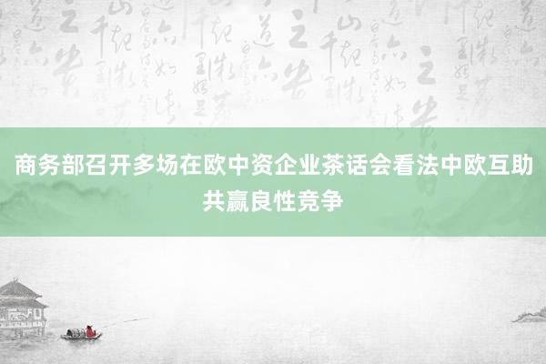 商务部召开多场在欧中资企业茶话会看法中欧互助共赢良性竞争