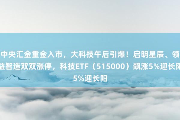 中央汇金重金入市，大科技午后引爆！启明星辰、领益智造双双涨停，科技ETF（515000）飙涨5%迎长阳