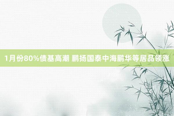 1月份80%债基高潮 鹏扬国泰中海鹏华等居品领涨