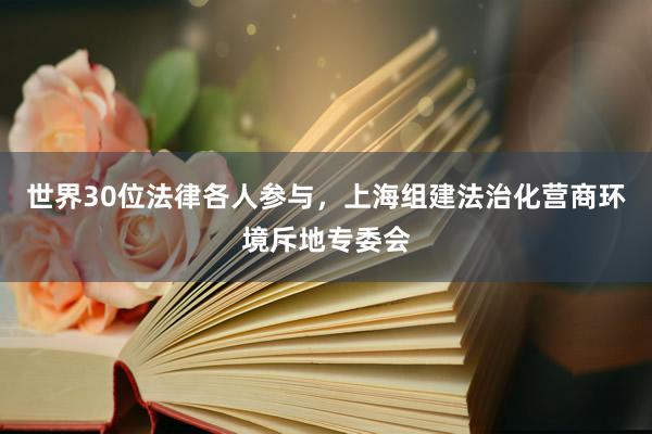 世界30位法律各人参与，上海组建法治化营商环境斥地专委会