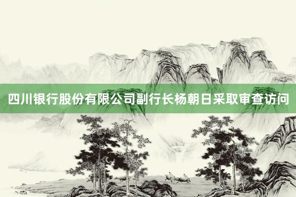 四川银行股份有限公司副行长杨朝日采取审查访问