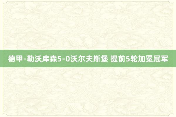 德甲-勒沃库森5-0沃尔夫斯堡 提前5轮加冕冠军