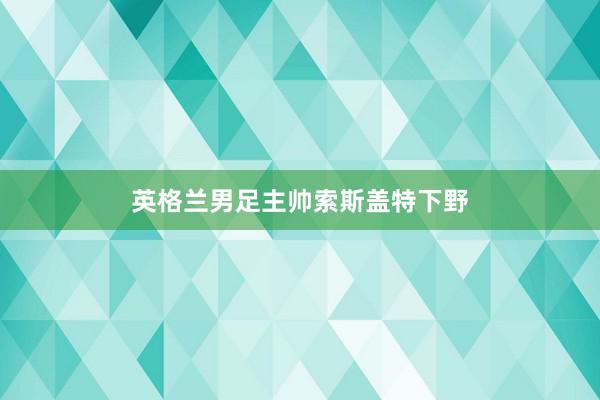 英格兰男足主帅索斯盖特下野