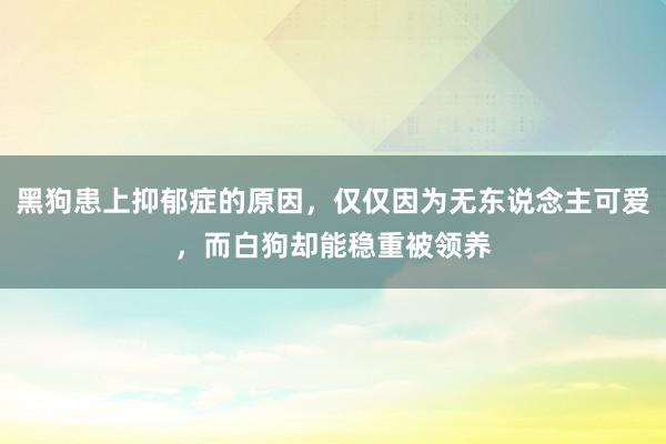 黑狗患上抑郁症的原因，仅仅因为无东说念主可爱，而白狗却能稳重被领养