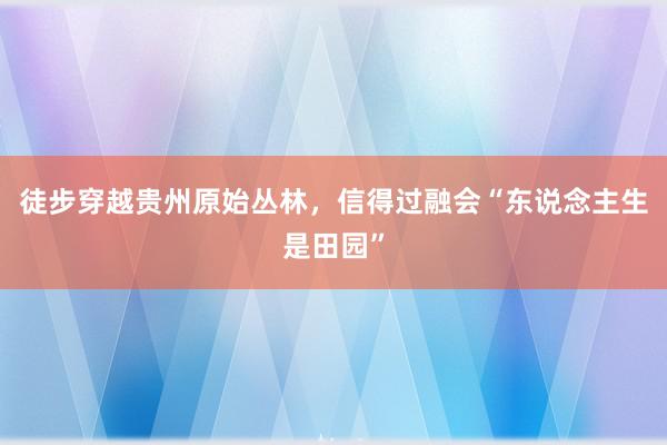 徒步穿越贵州原始丛林，信得过融会“东说念主生是田园”