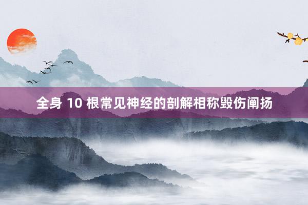 全身 10 根常见神经的剖解相称毁伤阐扬