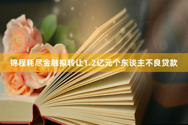 锦程耗尽金融拟转让1.2亿元个东谈主不良贷款