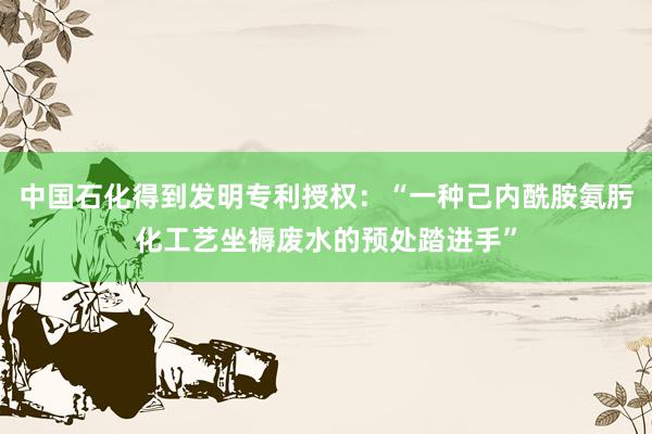 中国石化得到发明专利授权：“一种己内酰胺氨肟化工艺坐褥废水的预处踏进手”