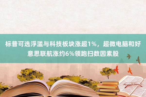 标普可选浮滥与科技板块涨超1%，超微电脑和好意思联航涨约6%领跑扫数因素股