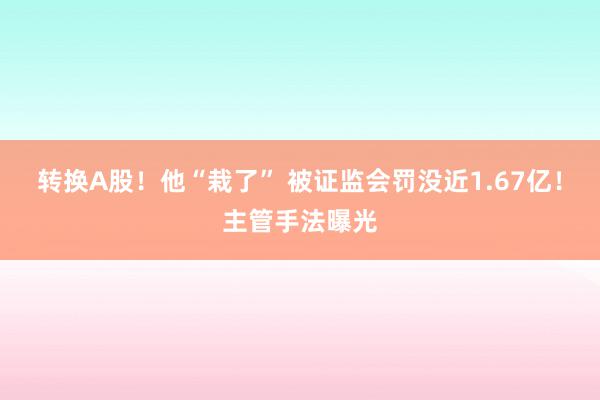 转换A股！他“栽了” 被证监会罚没近1.67亿！主管手法曝光