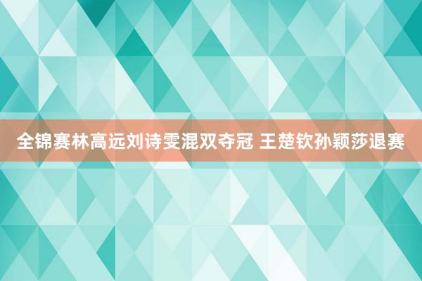 全锦赛林高远刘诗雯混双夺冠 王楚钦孙颖莎退赛