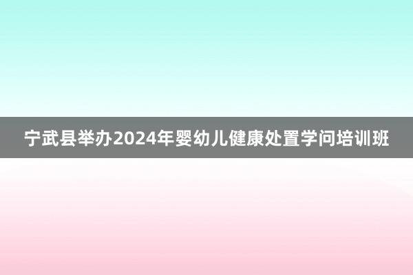 宁武县举办2024年婴幼儿健康处置学问培训班