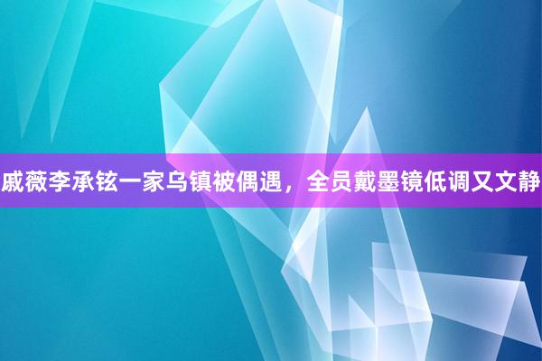 戚薇李承铉一家乌镇被偶遇，全员戴墨镜低调又文静