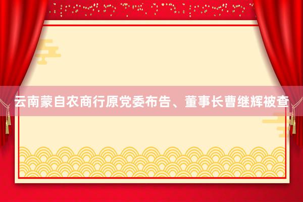 云南蒙自农商行原党委布告、董事长曹继辉被查