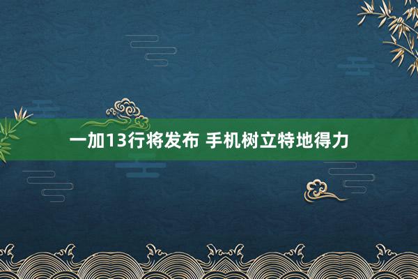 一加13行将发布 手机树立特地得力