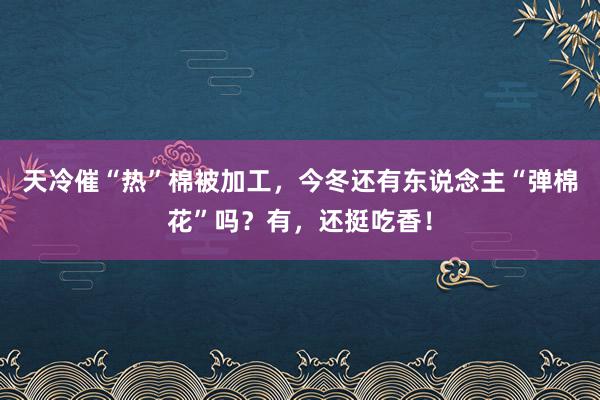 天冷催“热”棉被加工，今冬还有东说念主“弹棉花”吗？有，还挺吃香！